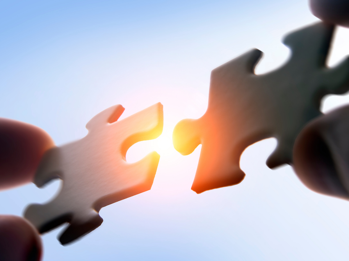 Las piezas del puzzle